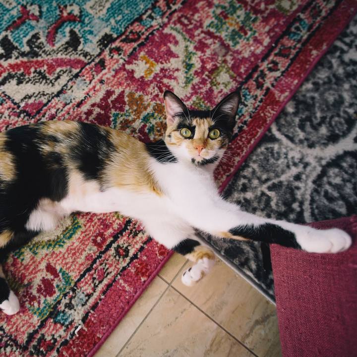 7d94e156 ae04 4200 add8 03b6411220be 1510523528607