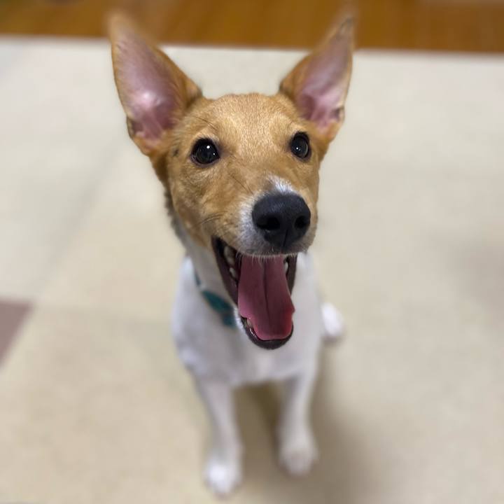 7d94f759 ca6e 4646 b1b3 00fe99a76966 1758456508453