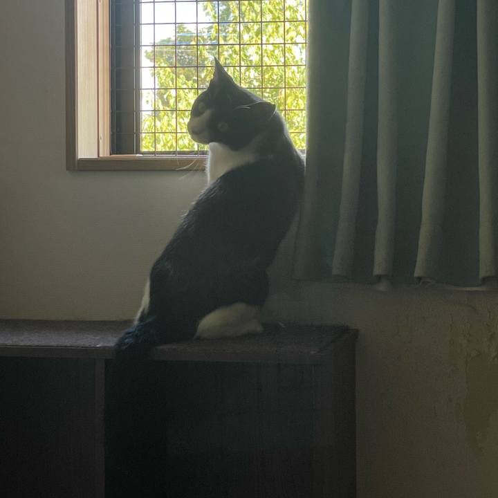 7d95589c 52ff 476e 8a7f 38fbf388c25f 1691284138135