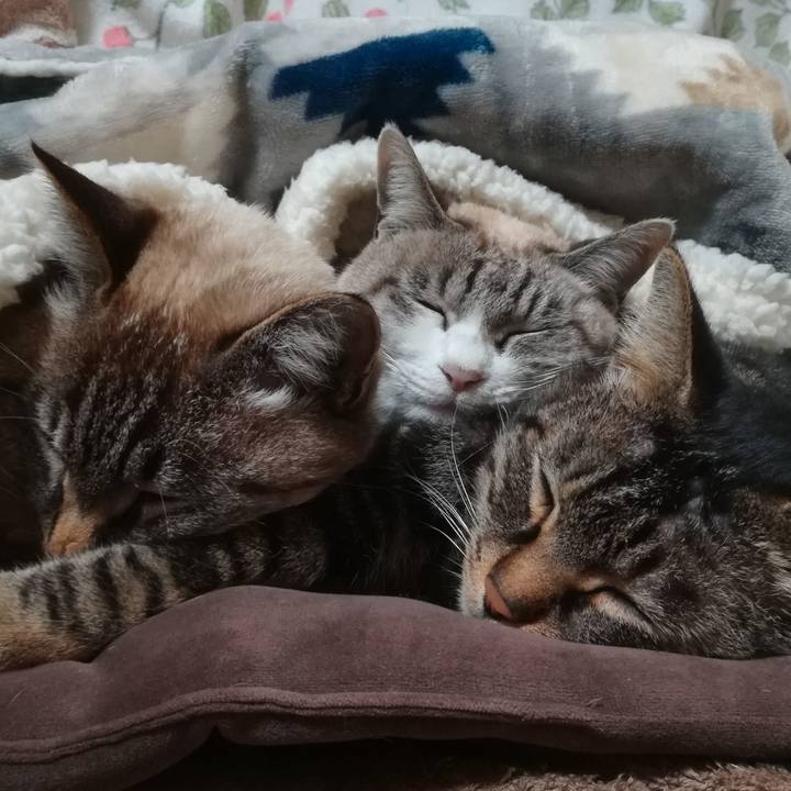 7d955ec7 dc3a 4205 b978 9265ed361010 1608049305992