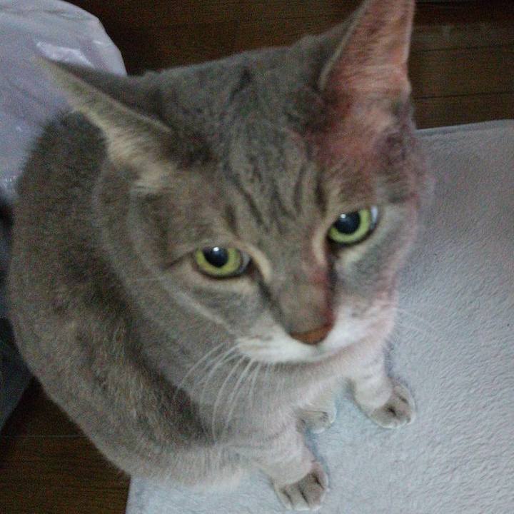 7d9560a7 4e8e 40cf a608 9dd51f036969 1634768887522