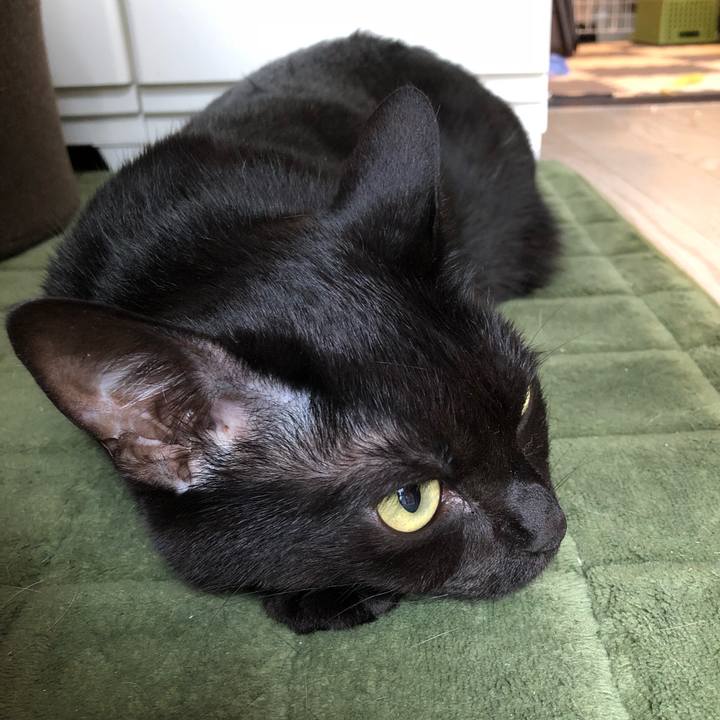 7d9564d2 0653 41b3 a969 ad13cd971f2a 1527651051250