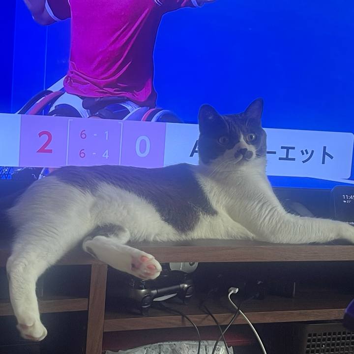 7d95655c 753f 41cf b3f0 5c0c5c2102fe 1631501211100