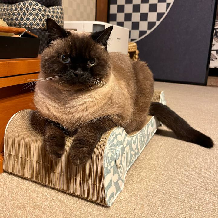 7d95f47a 7b0d 4a3c 8c93 58dd27dba9bb 1703680171976