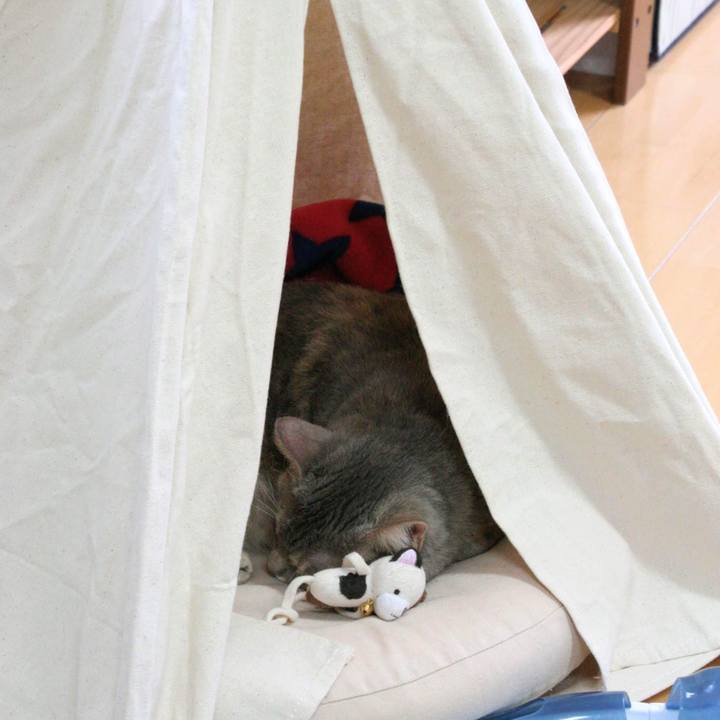 7d962d8c a7b6 4c9e 82e2 2c2cf4fd37ec 1542349116190