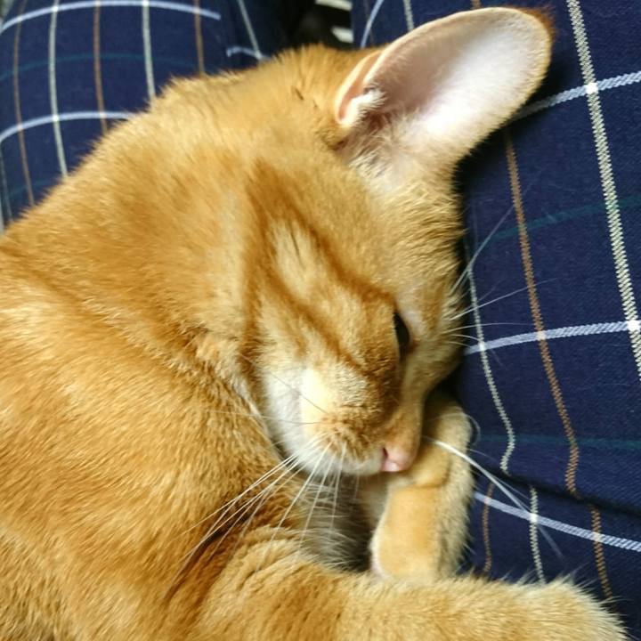 7d9632ee 3734 4d63 91a6 8403bf6cefc9 1531825812134