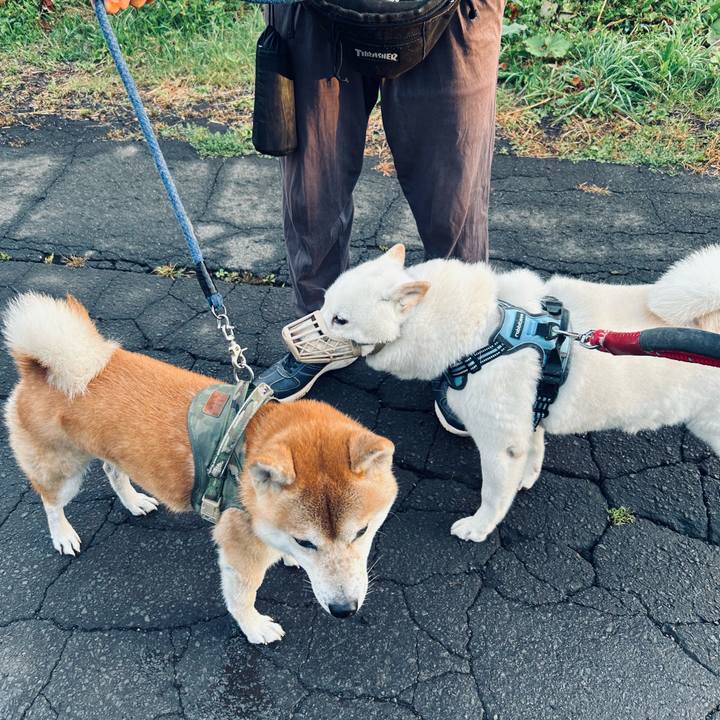 7d965ac8 899d 4c68 bfeb a913e9825c06 1727385931764