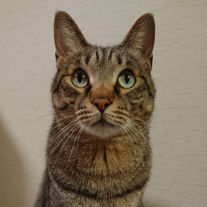 7d968d3d 3c9a 4ac5 b89a fd3f6cd1e6cc 1587809296351