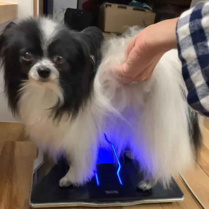 7d96a10a be37 4485 83c5 1737a6153f1d 1571086779863