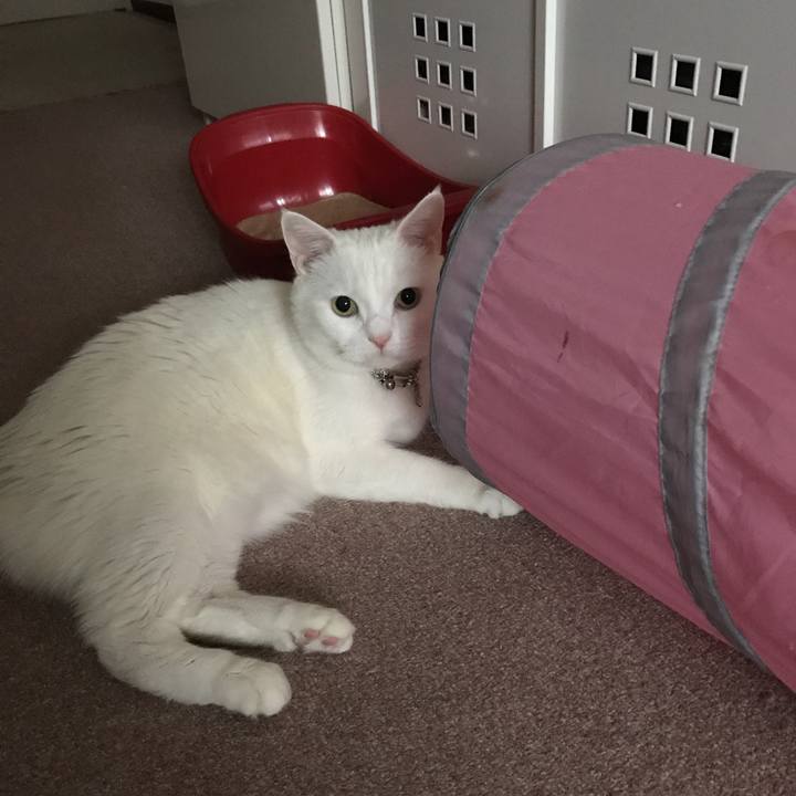 7d96c68d 18dd 4ee7 8b59 9a5e93650039 1510006201953