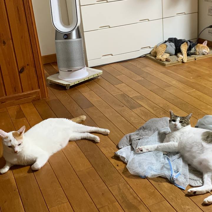 7d96fa2e d6a9 4f1b a3be c526b1713503 1661781733680