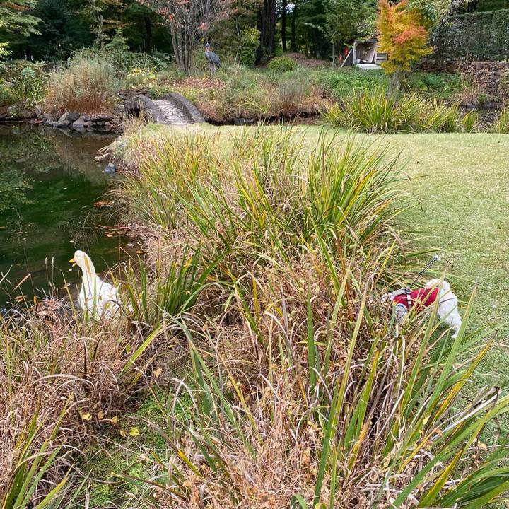 7d972737 a8f5 4972 a478 2e90074b36c3 1667311652281