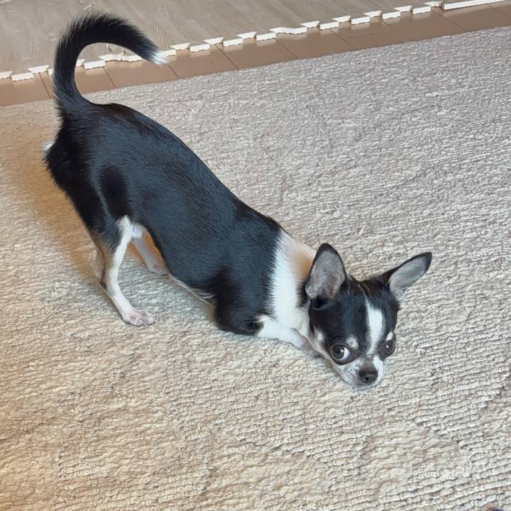 7d973507 1558 47f9 a55b 658dda222f44 1769214394598