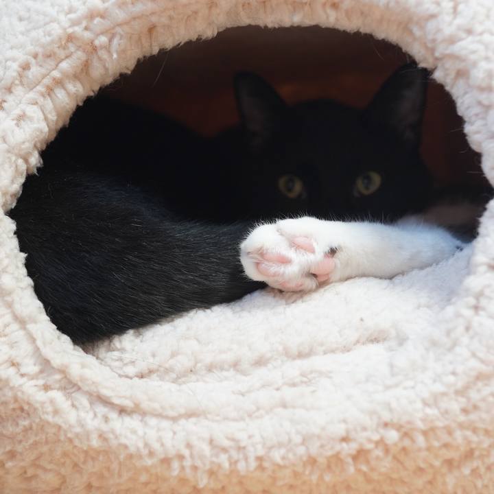 7d97a731 d93d 435f b4d8 908951eb96aa 1601094458171