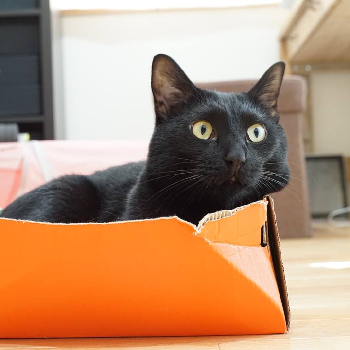 7d97a88f c185 476e 83fa 8450ad716834 1529364816941