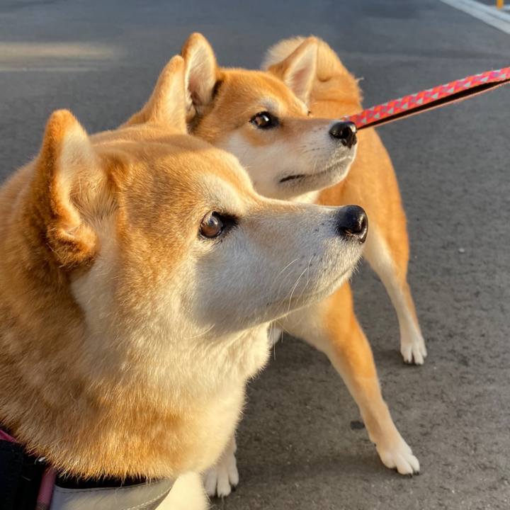 7d97b4b9 a6c9 43b3 992a 4f0519ab6b5d 1647606831092