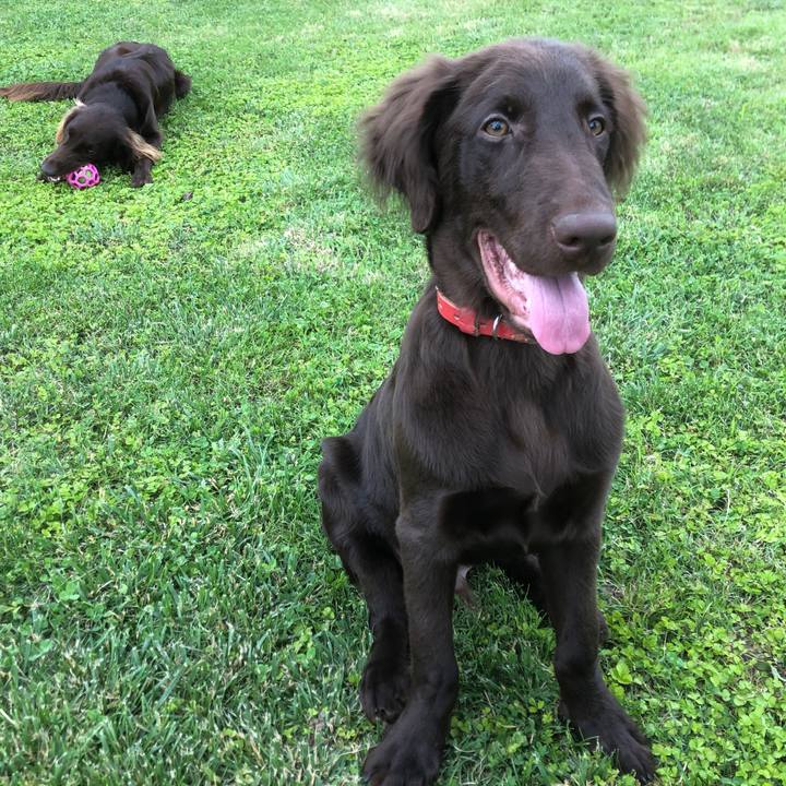 7d9818ea 0588 4e35 bac7 12c85ae5aeb7 1591134535208