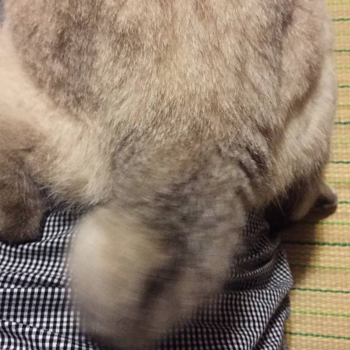 7d982299 0ff4 47f3 bcfd 5848cc6caf64 1534255162922