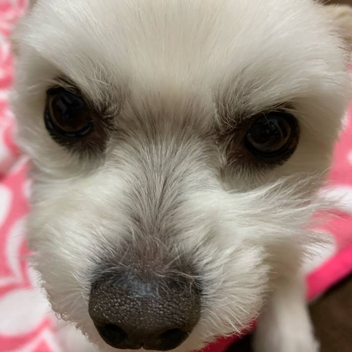 7d9831a2 ebcc 46b1 9df3 d69eb04904d2 1583567525762