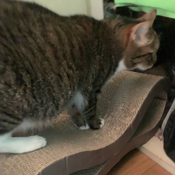 7d983456 0e59 4718 8f44 d71abfd75e16 1759793628160