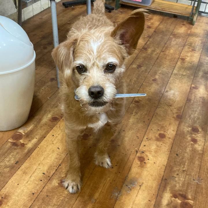 7d9843bc a2cb 4397 be5e 411babc05fe0 1700117016580