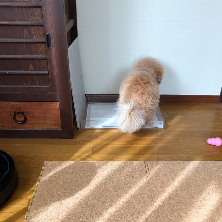 7d984e14 8ec6 4803 bdd9 96911de3de40 1519786474159