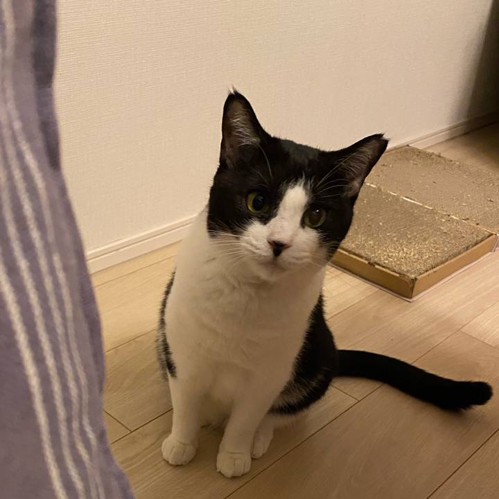 7d986268 4558 4c68 8d87 f7383ee8bafb 1725793091938