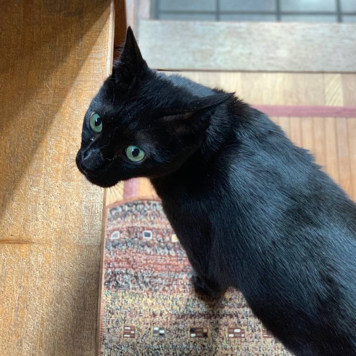 7d9867d5 b05f 4aa1 b5be be3253be1830 1563671883308