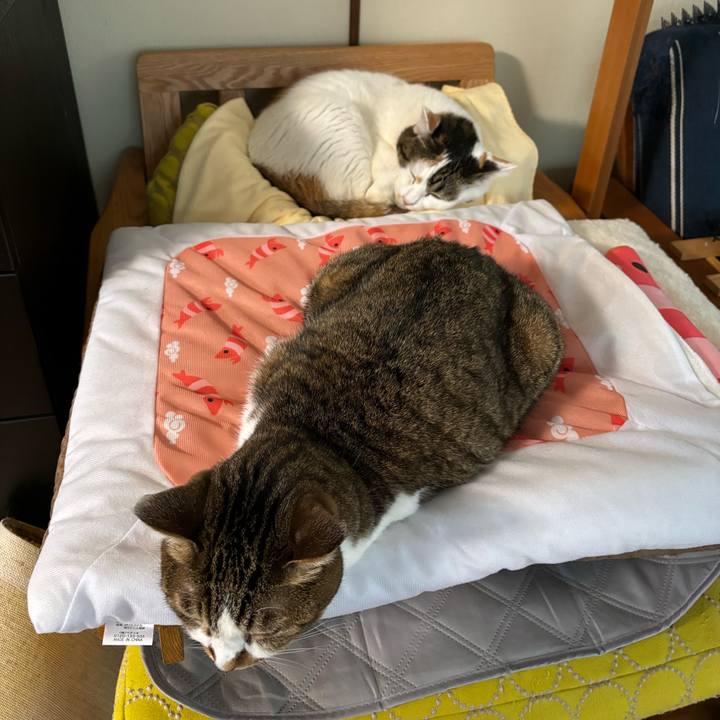 7d98df6c d22d 4701 a3b8 2d0691f3be85 1731195892907