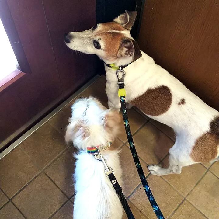 7d98dffb 4135 41f5 b4a2 2e0fd9c857dc 1538978274270