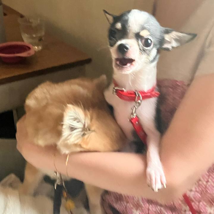 7d98ed62 e95f 4b03 8ef9 852c05e84d37 1753185493829