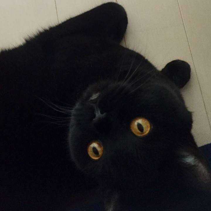 7d98f10b 11ee 43e7 8c1b 541e38a11f0f 1560551970899