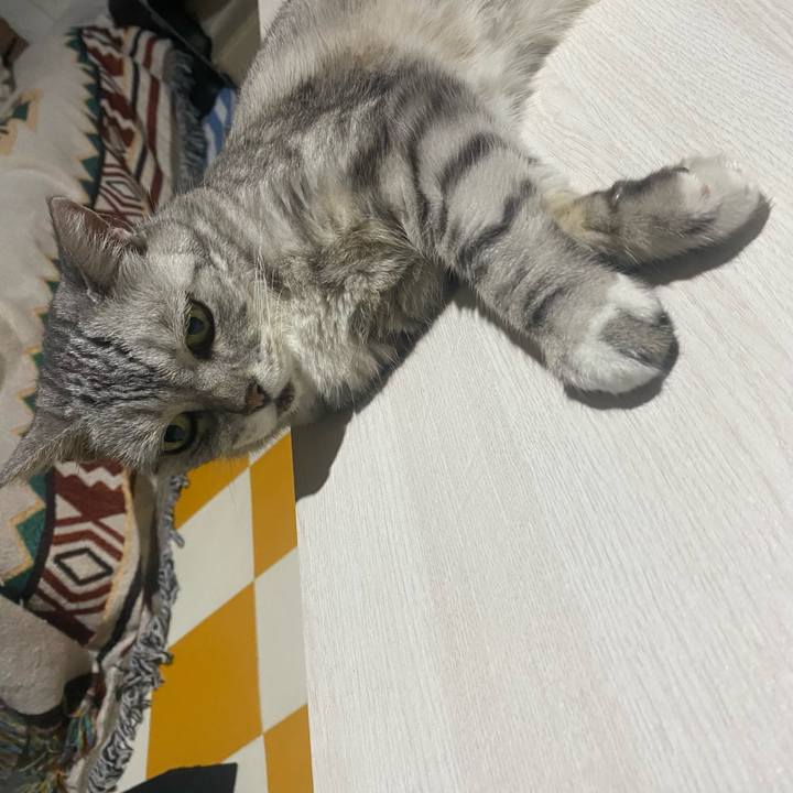 7d99348d 20f8 4a08 92a0 e857ba24526c 1756051459220