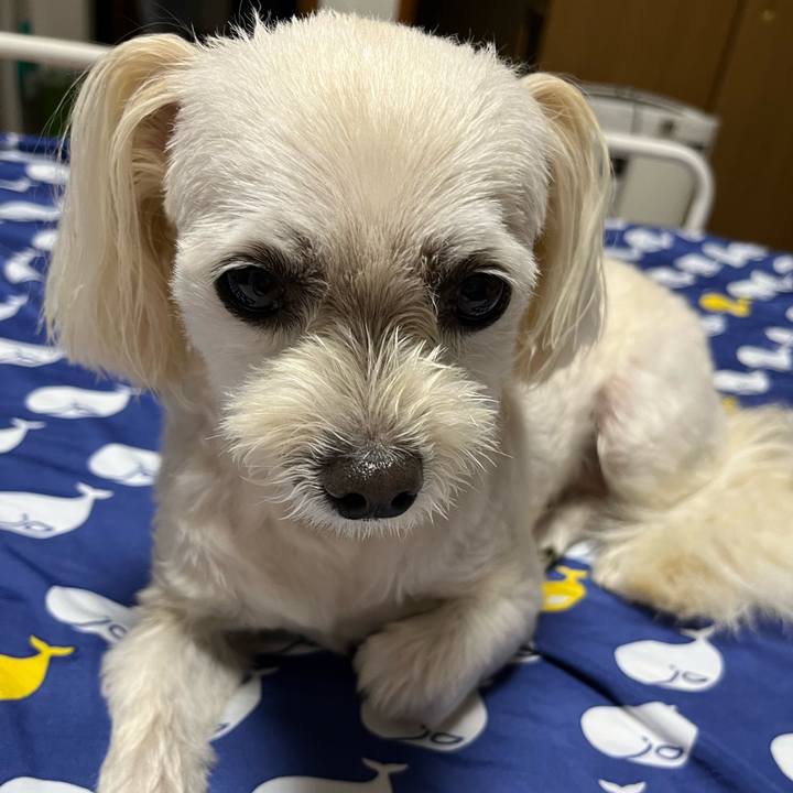 7d9934a7 3e35 4408 9572 ffae8f40a477 1687965871051