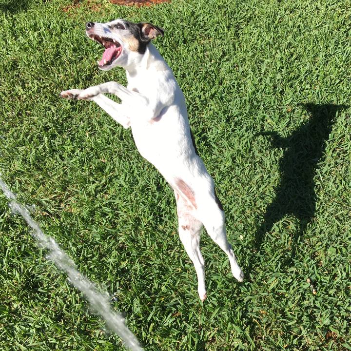 7d994704 09e9 4b6d 9523 d3cfdce31796 1556493436444