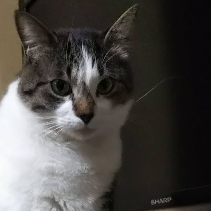 7d994e2b eec1 4ef3 808c f197aff8f658 1608633607623