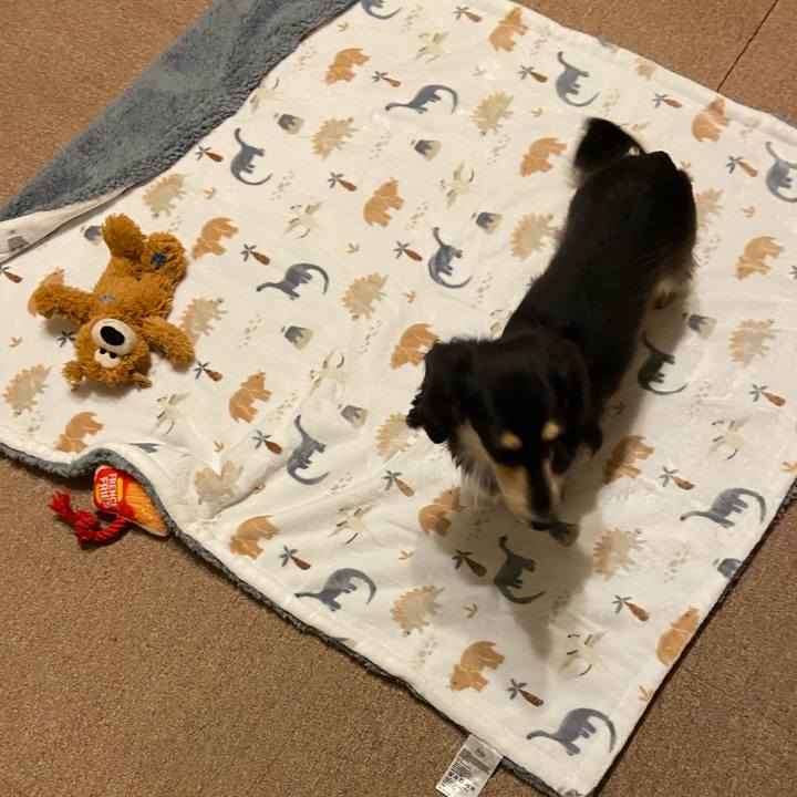 7d99523b 3e4e 40bc b568 5b8fceb3fe26 1763165497635