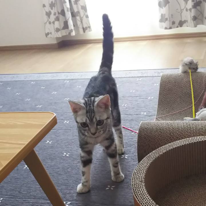 7d999ca6 4ebf 4f91 9c3c d7d885b1e10a 1537536627125