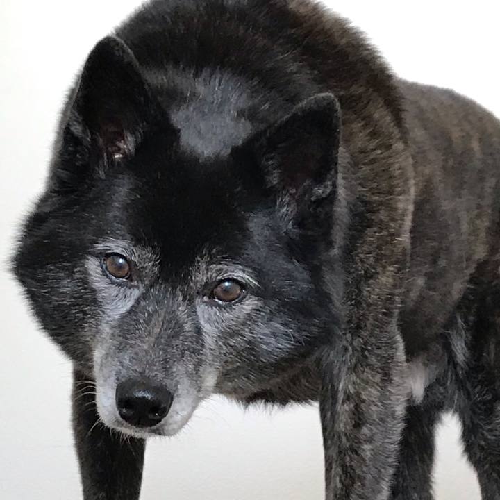 7d99baee 6239 4008 ae56 c1c4e8a4b062 1555423277744