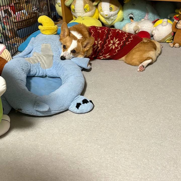 7d9a4b81 1bc1 412c b0ac 3d206edd433d 1768924083191