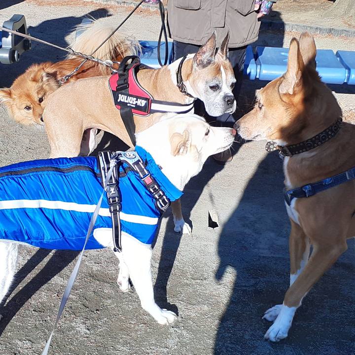 7d9a7e11 2a18 4400 8631 490607664597 1640826486206