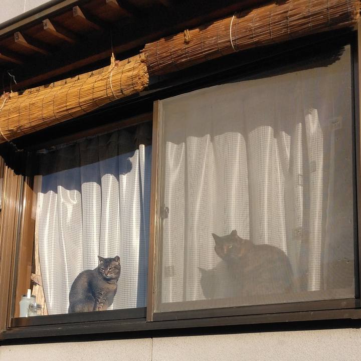 7d9aaf76 f0d7 4dea beb3 208b78054674 1673238092966