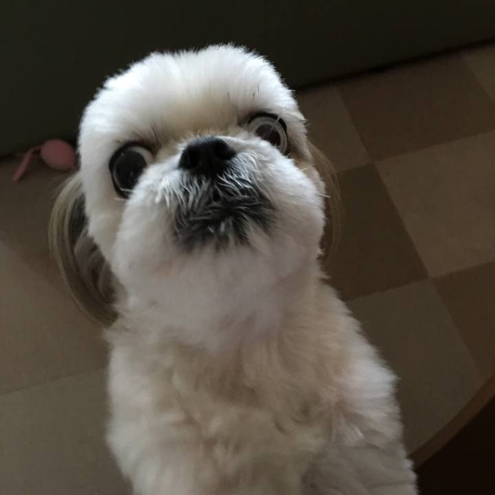 7d9acaa2 fdf5 4b74 bc0f e1ebafcdc17b 1533711605932