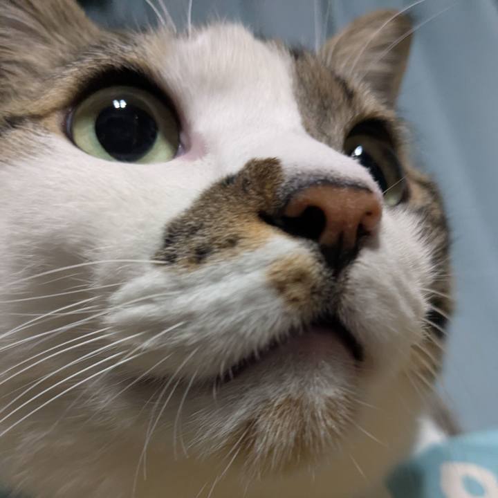 7d9ace47 0972 4fe1 a8a5 826c1df121b6 1771683712544