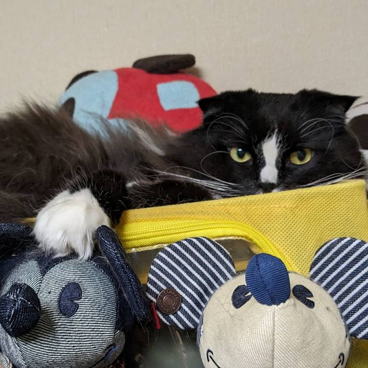 7d9acf1b 4b98 45e1 90cd ede28ee8cea1 1699785373010