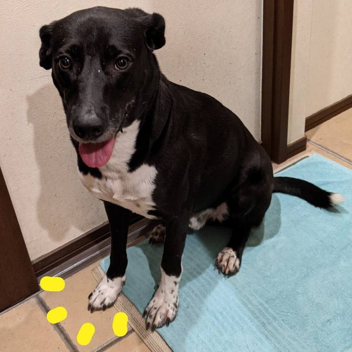 7d9b2a1a 50cb 4e0e af8e d9e1698adfa2 1631270192675