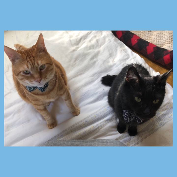 7d9b2af2 307f 4a87 ace4 edc002500b5d 1560460410091