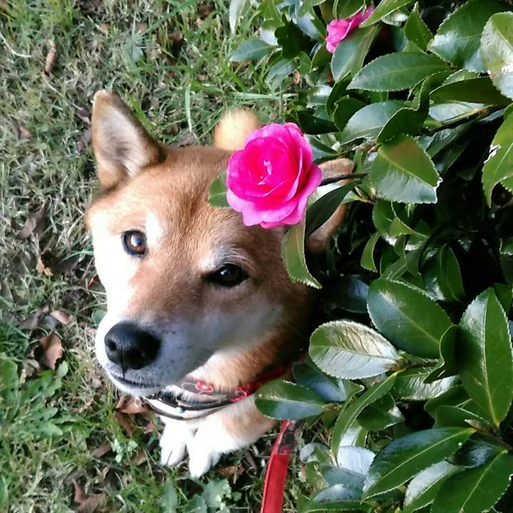 7d9b2dc3 4dd2 4c34 9902 a5a75fc0a6fd 1575797070188