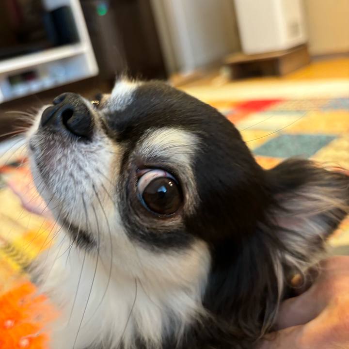 7d9b6b46 dc9e 429c 8719 33b55b267bd1 1725206332390