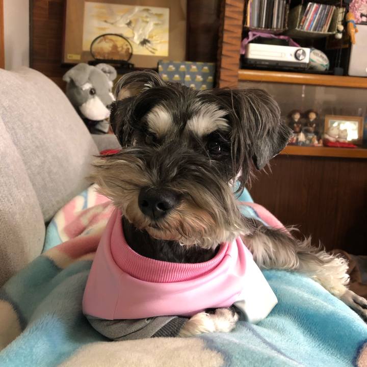 7d9ba7df 918d 45d2 9743 eb823c7fd3ca 1588690557547